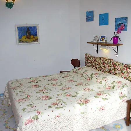Venus 4*